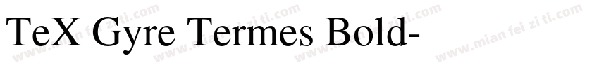 TeX Gyre Termes Bold字体转换